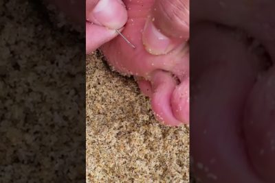 Las mejores frases graciosas: ¡Con y sin comas que te harán reír! 4 frases con coma y sin coma graciosas